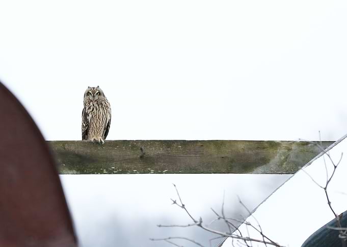 Night watchman