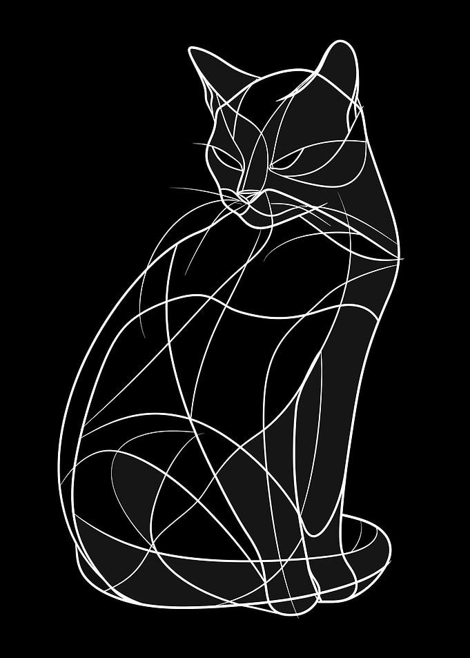 White Striped Cat