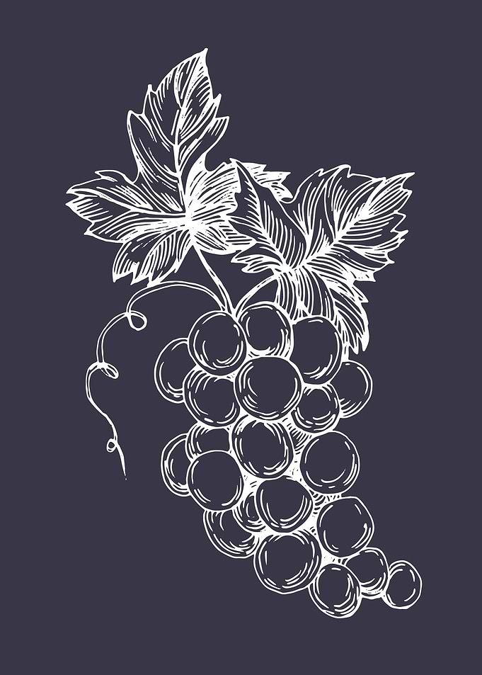 Grapes