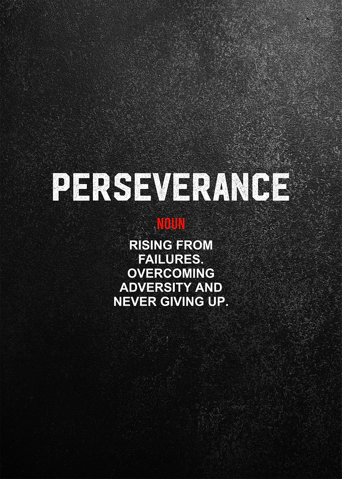 perseverance definition