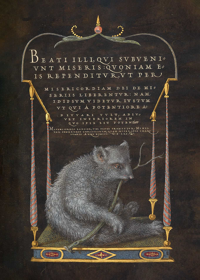 A Sloth