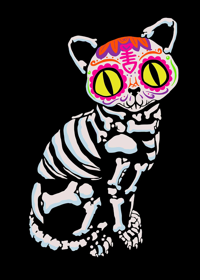 Los Meowrtos