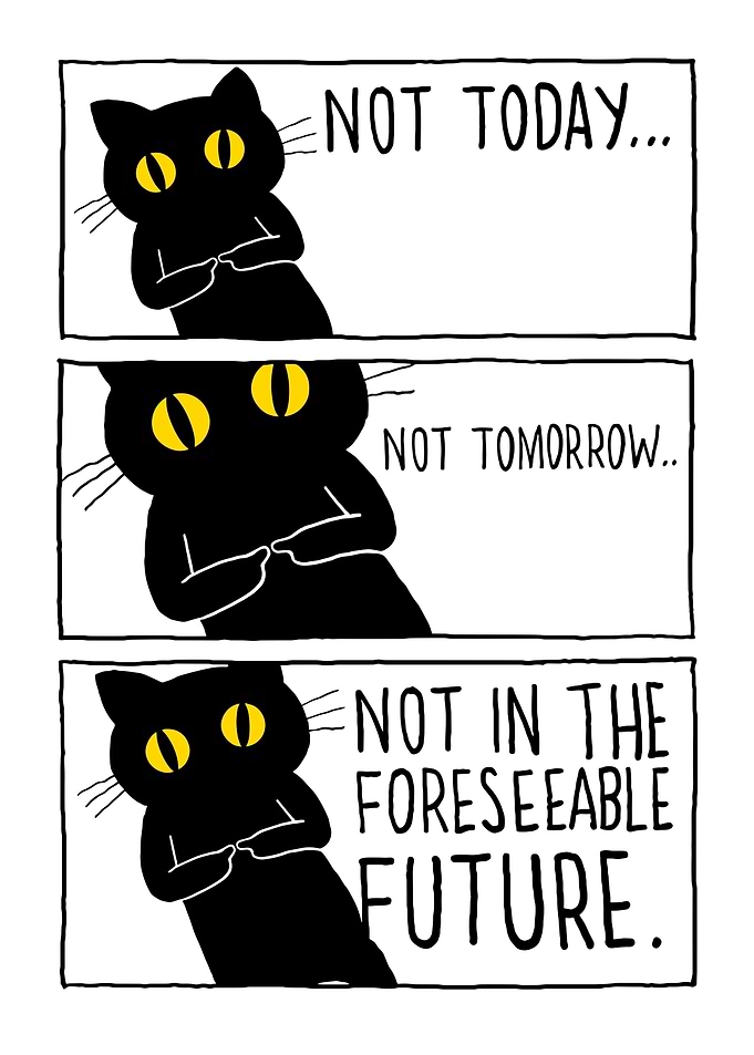 Anxiety Cat