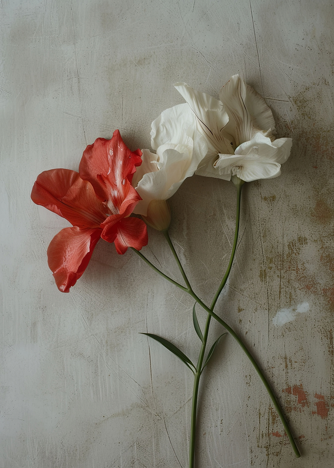 Photo Art Flowers V