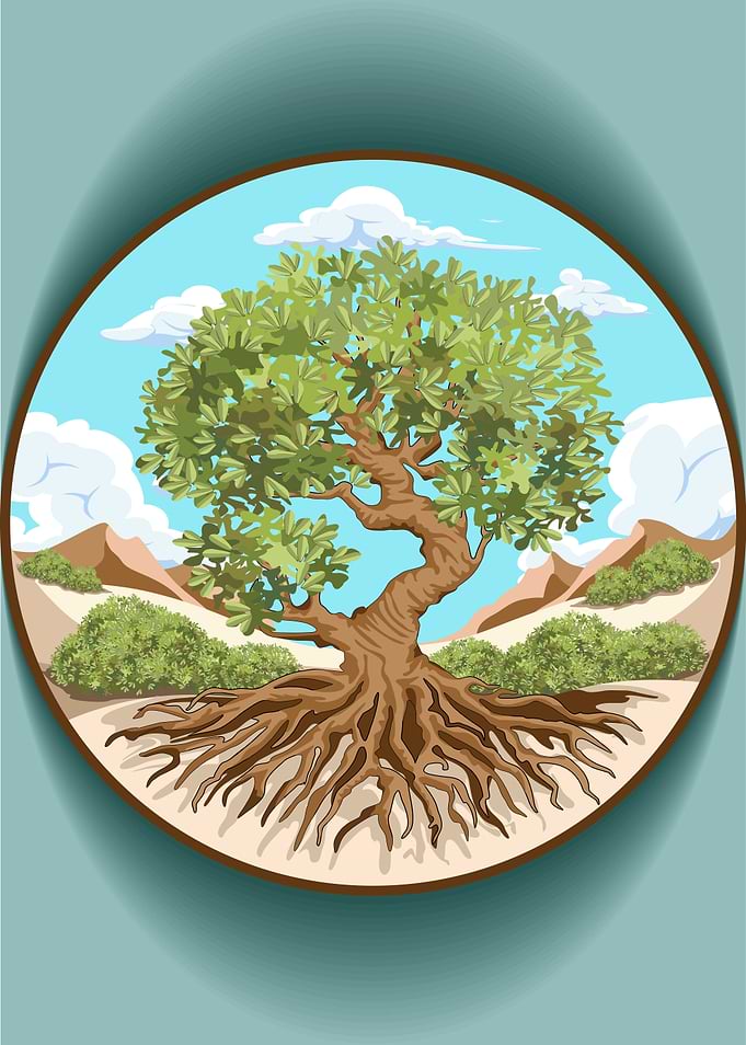 Olive tree Peace symbol