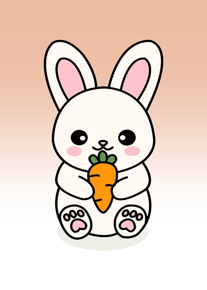 rabbit cute animal