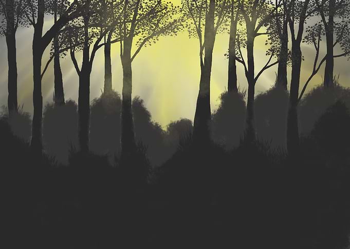 A gloomy Forest