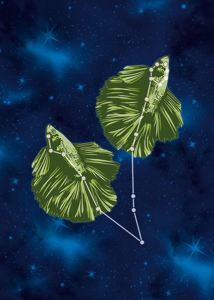 Pisces zodiac sign