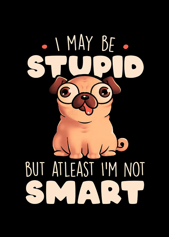 I May Be Stupid Cute Silly