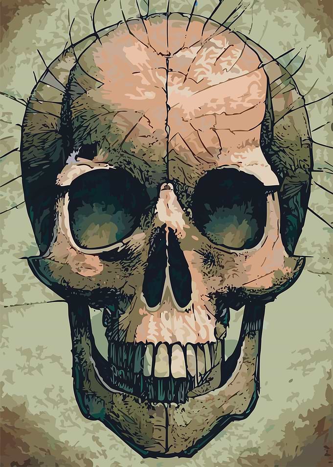 Bald Skull