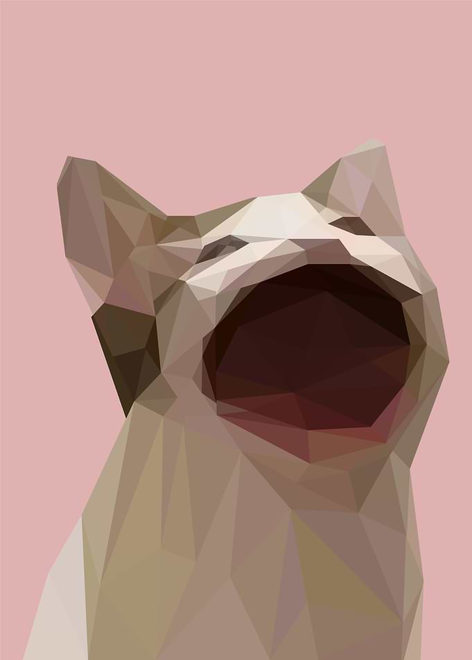 pop cat meme