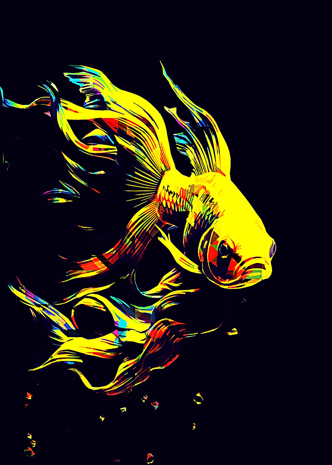 Koi fish pop art
