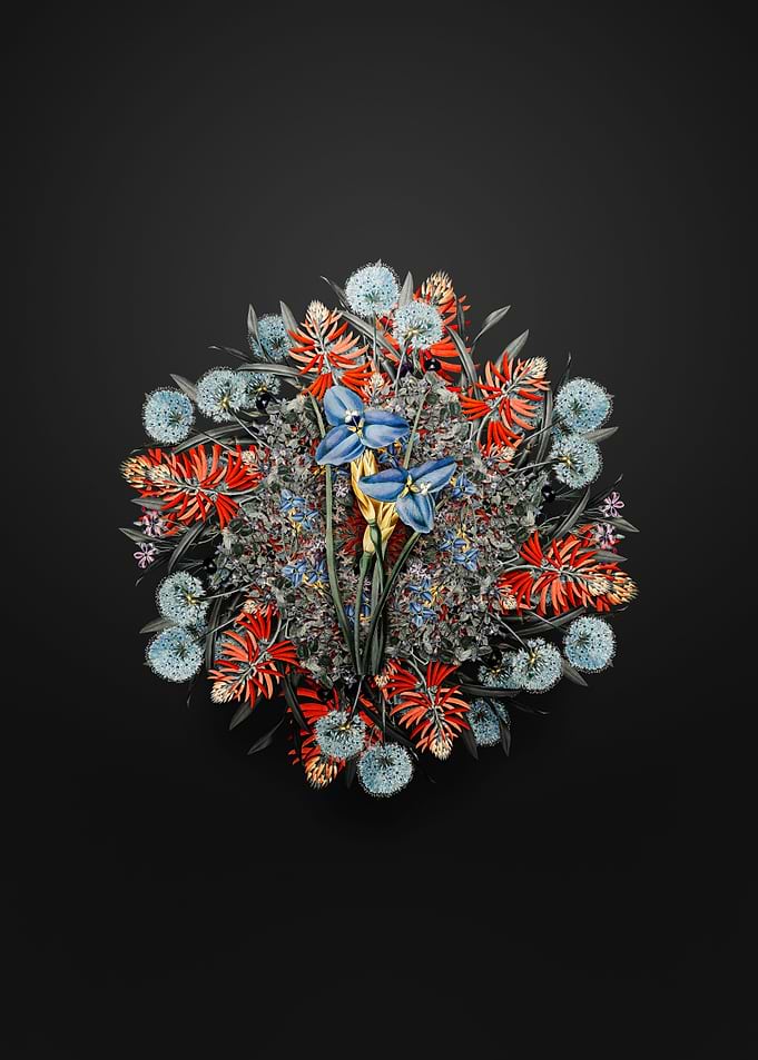 Sapphire Patersonia Wreath