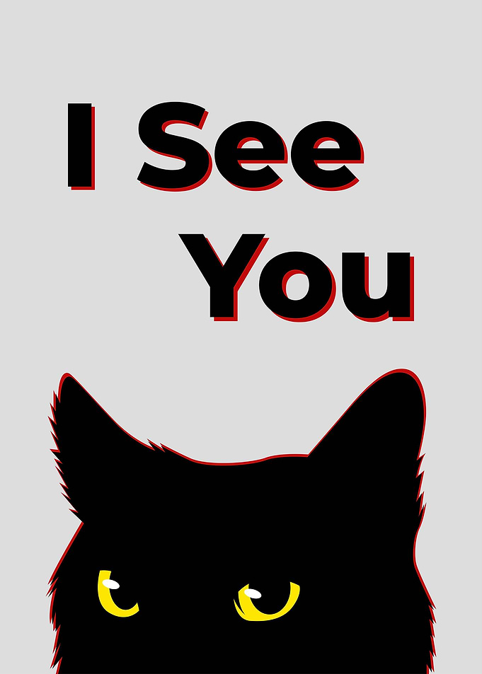 Funny Meme Cat