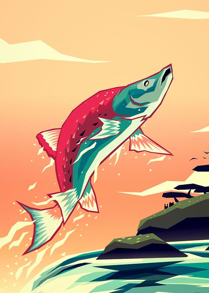 Salmon leaping home