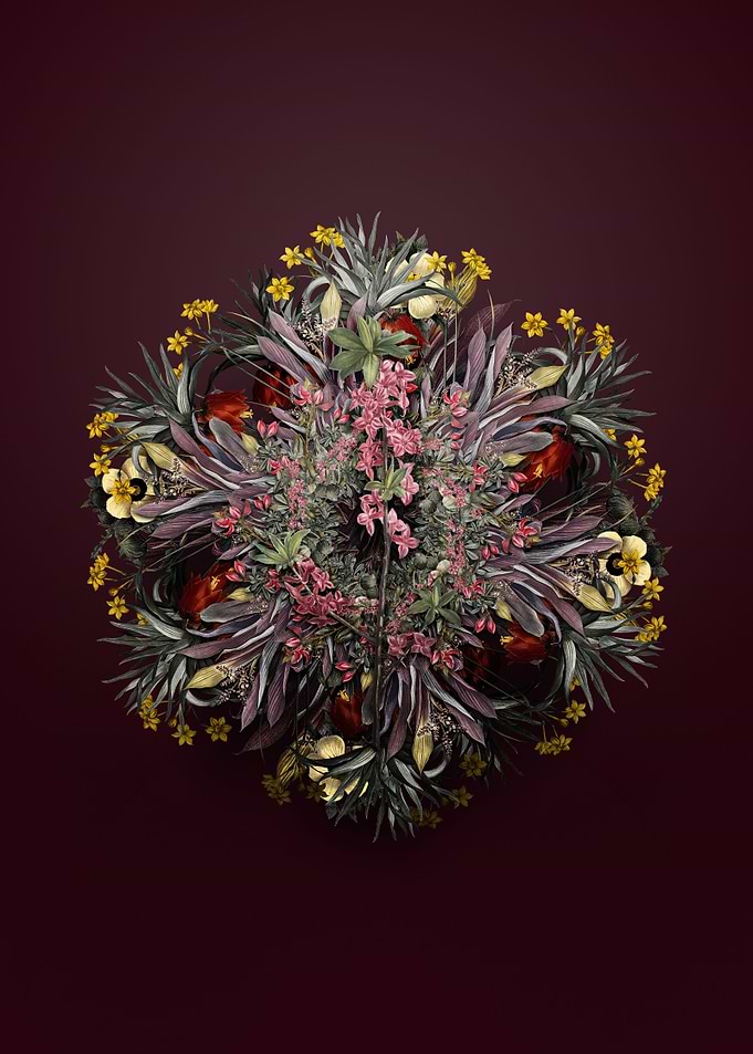 February Daphne Wreath