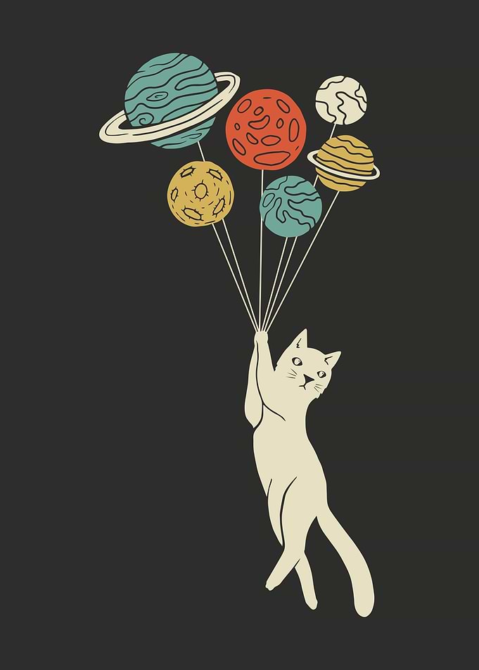 Cat More Space
