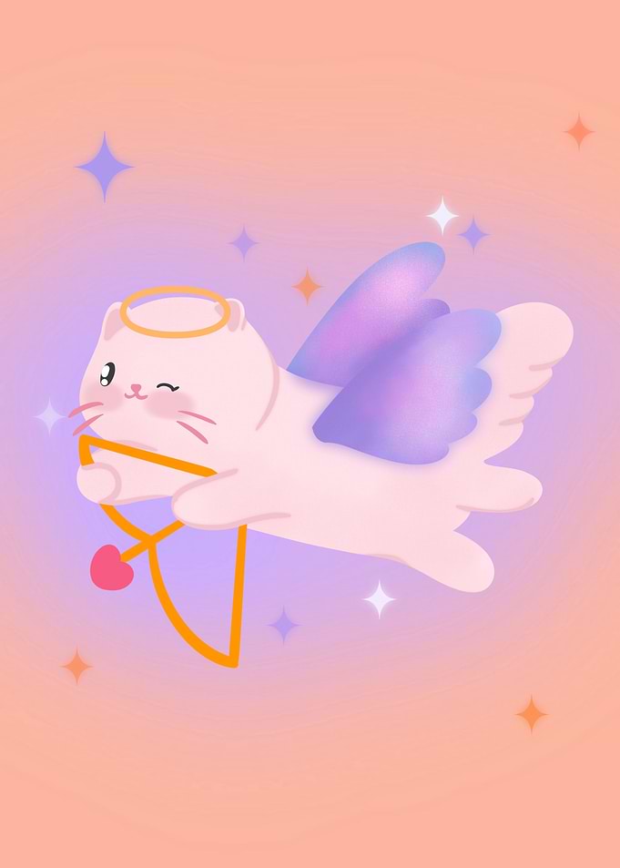 Cupid cat
