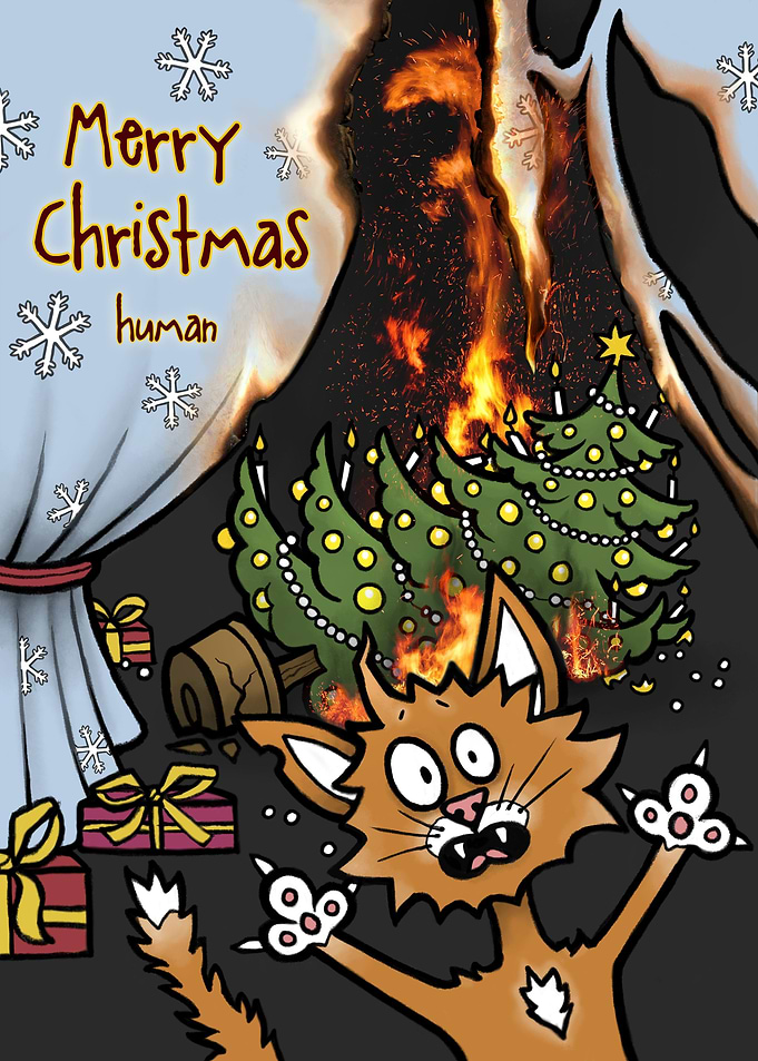 Merry Christmas human