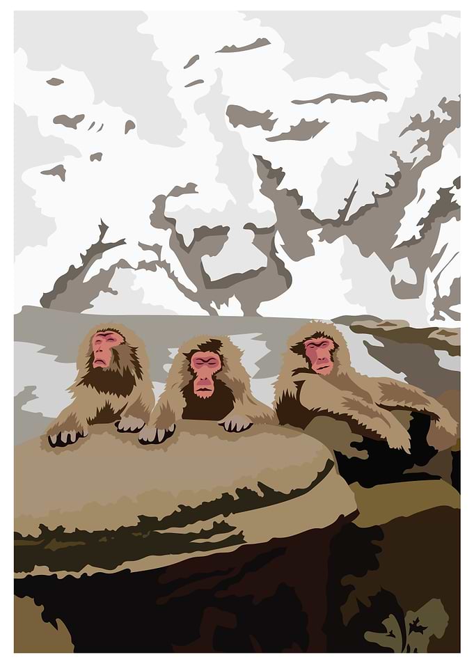 jigokudani japan