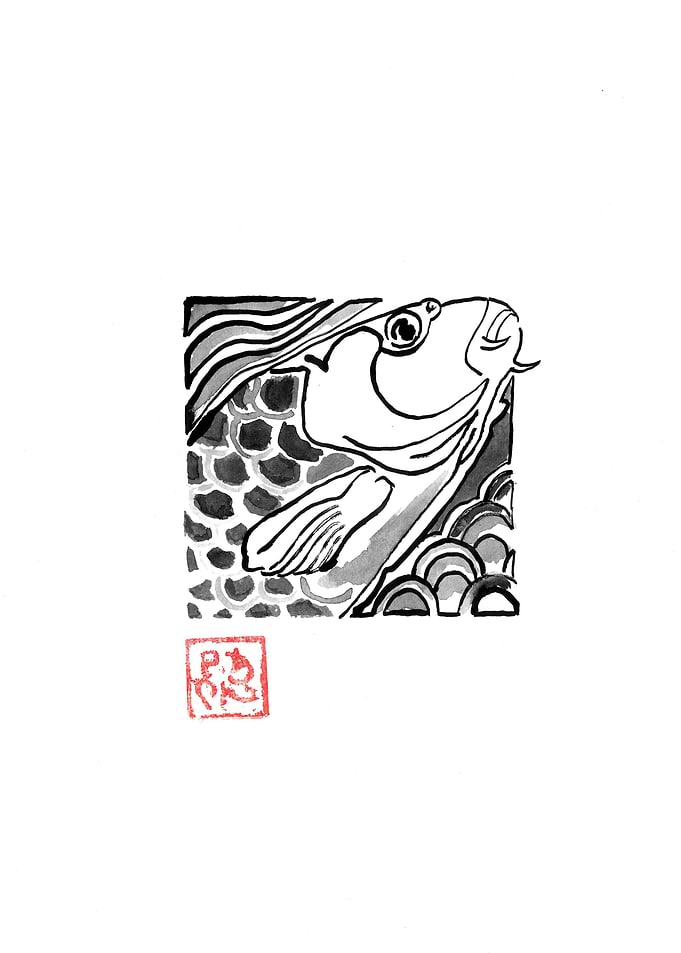 square koi