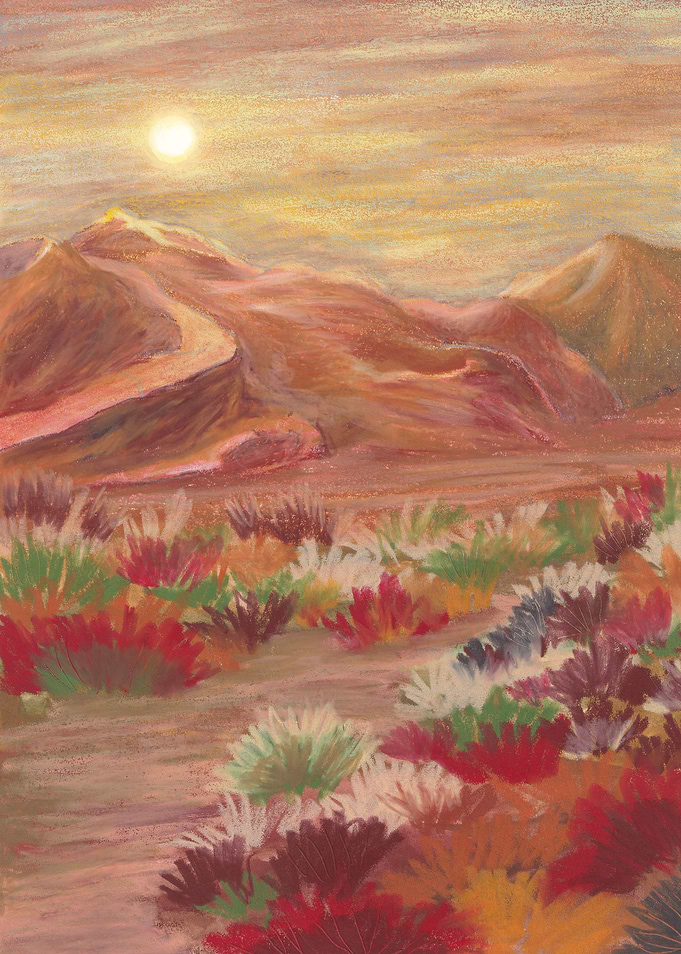 Boho Sunset Landscape