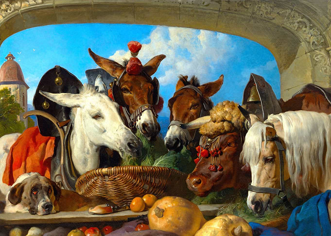 A Group of Animals