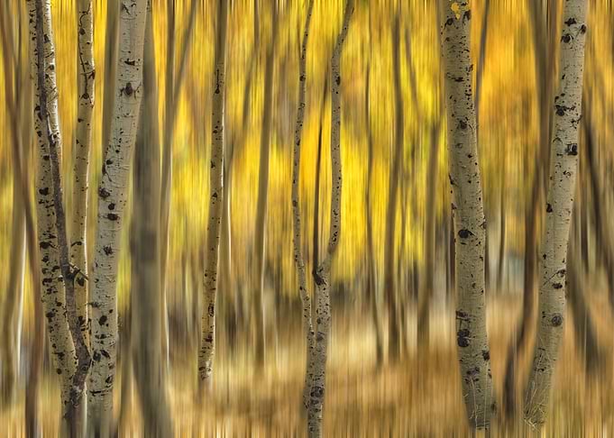 Impression of Autumn