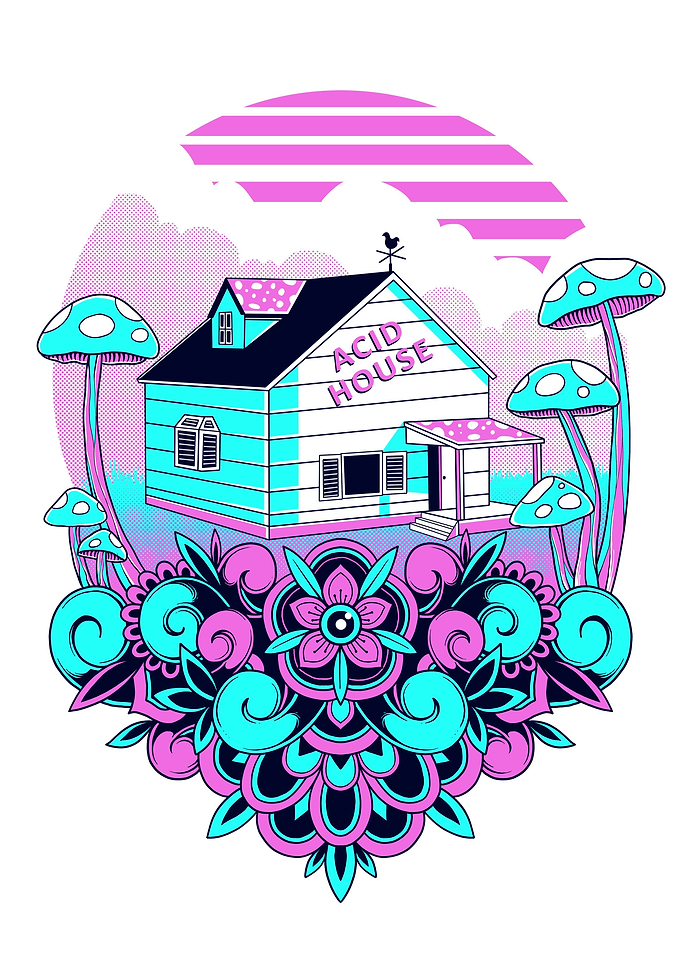 Acid House