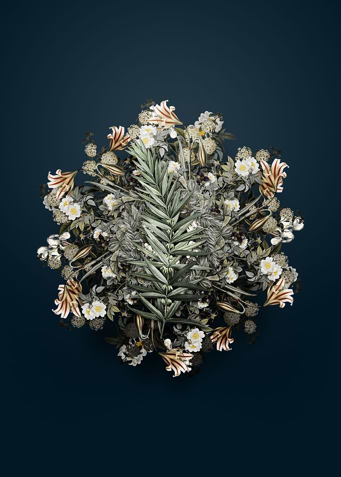 Whorled Solomons Seal