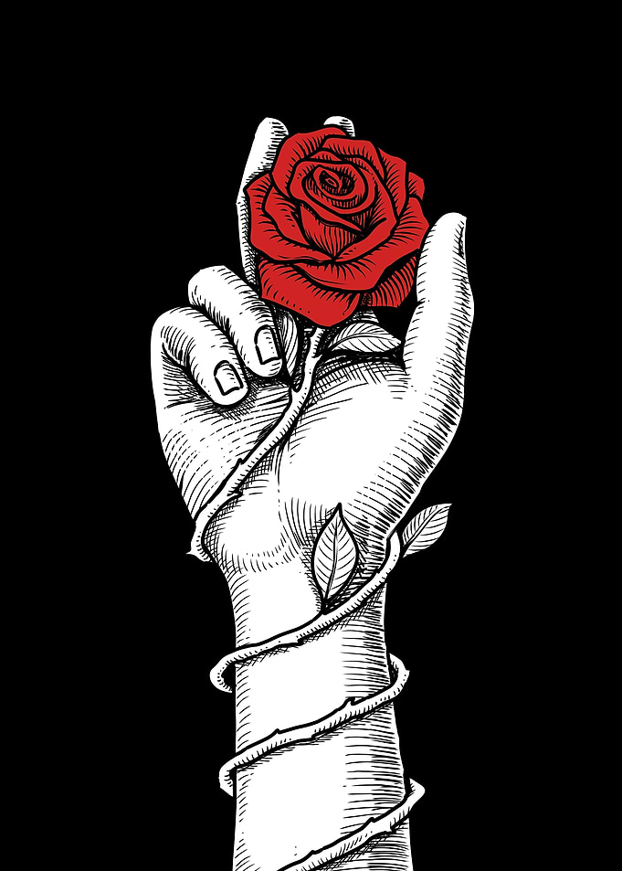 Hand Red Rose Valentine
