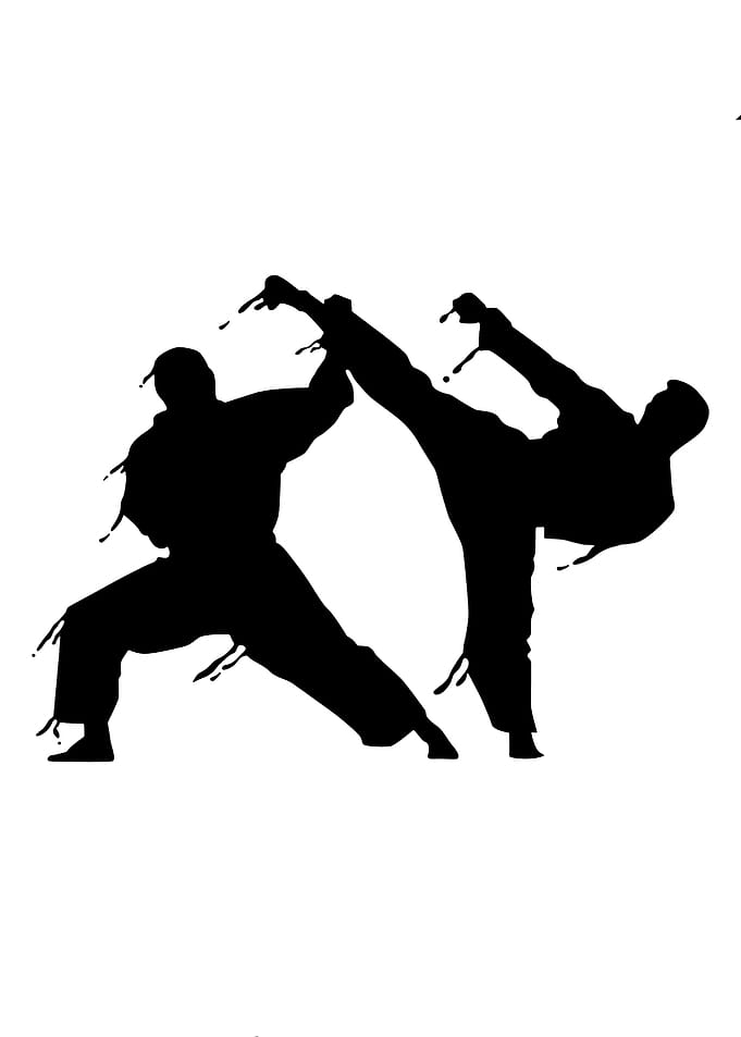 Kungfu