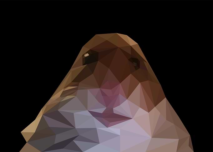 hamster meme