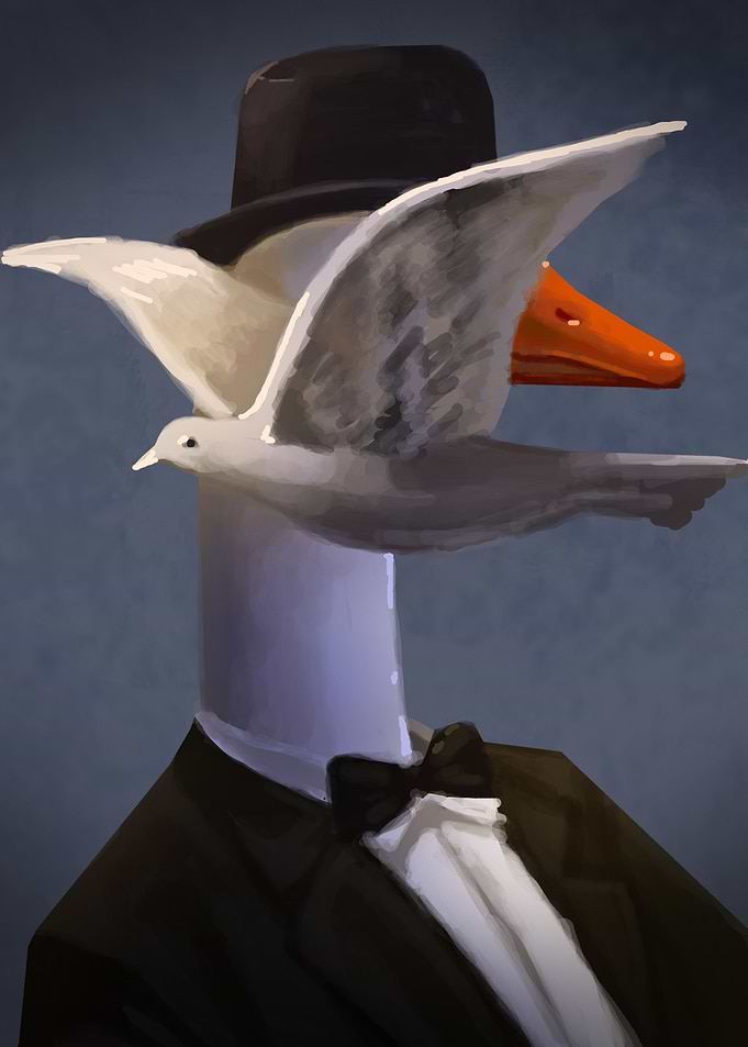 duck and the black hat