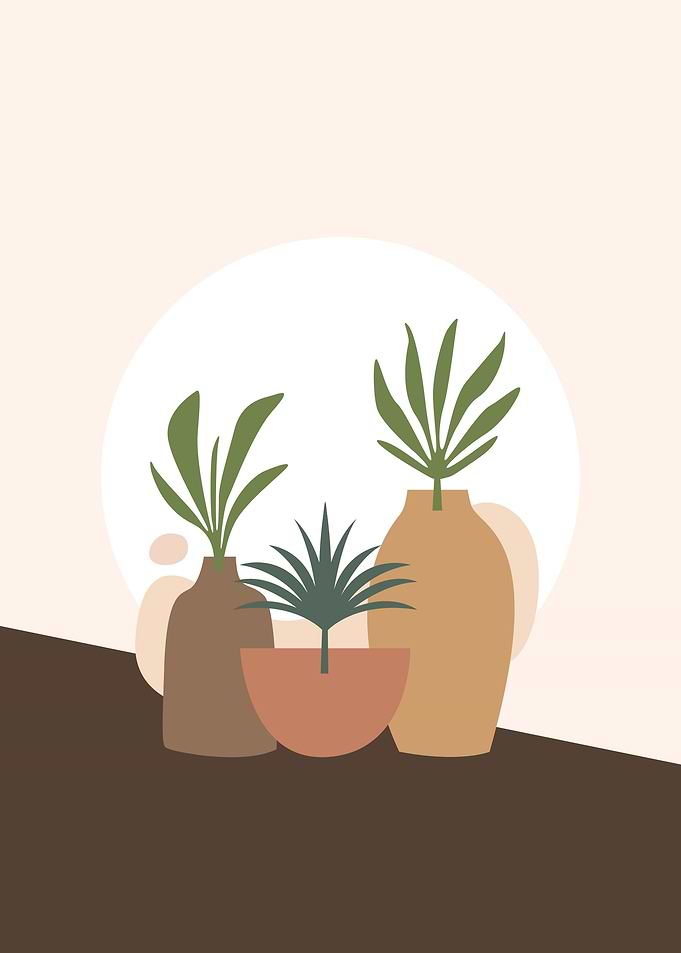 Minimalistic Plants