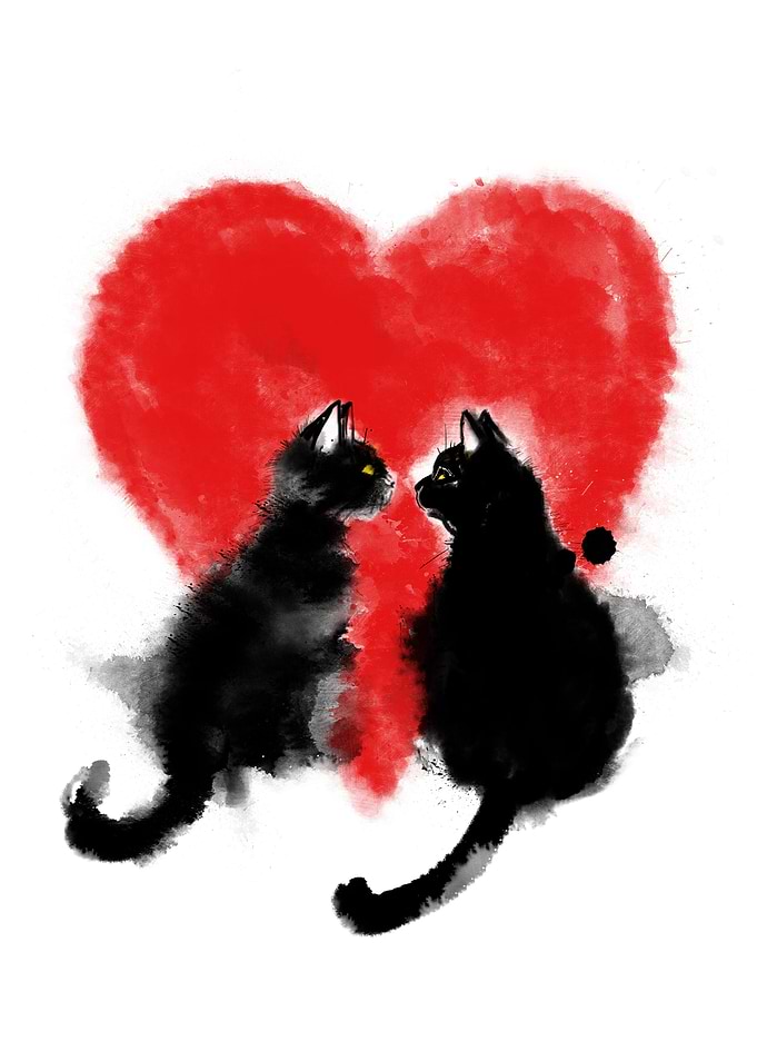 cats in llove