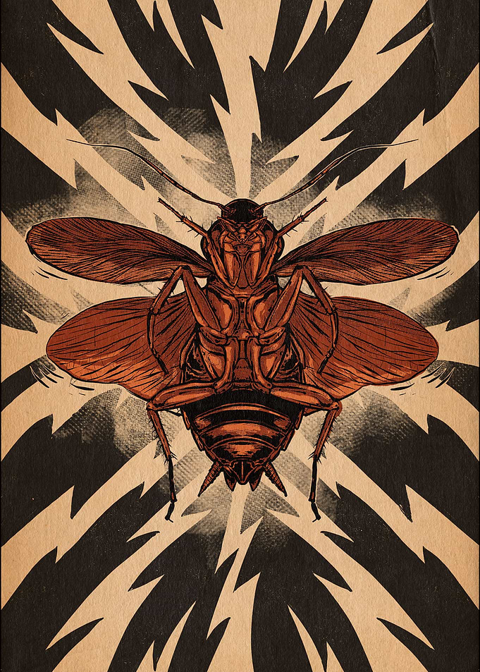 Flying Roach
