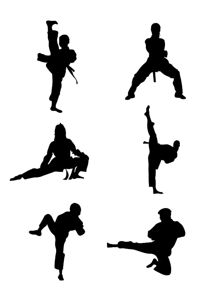 Kungfu