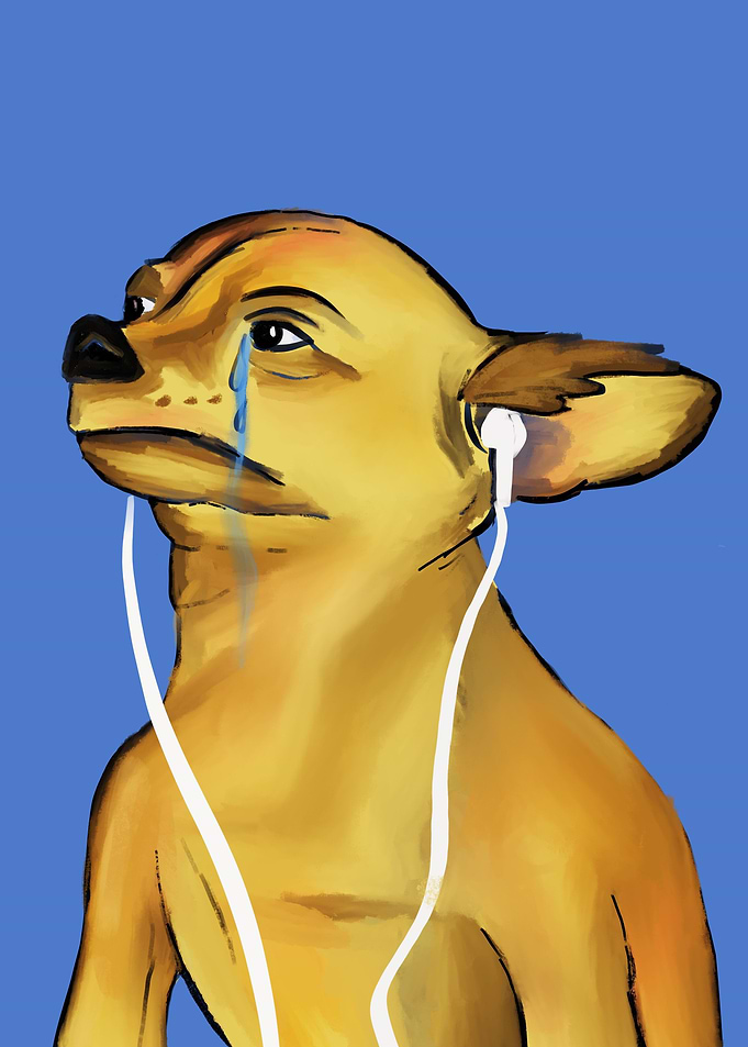 dog cry