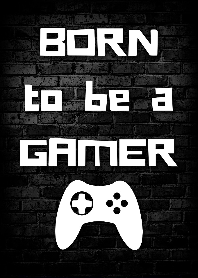 Born To Be A Gamer