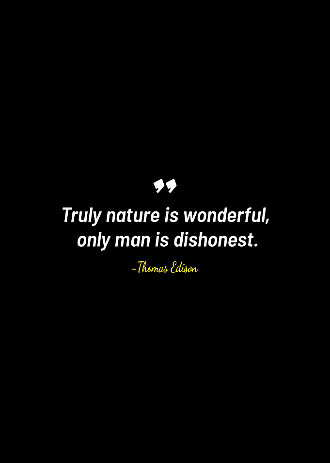 Thomas Edison quotes