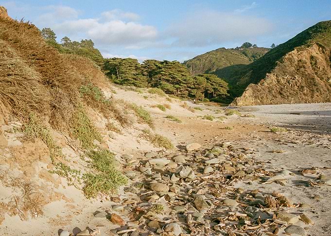 Big Sur California Beach