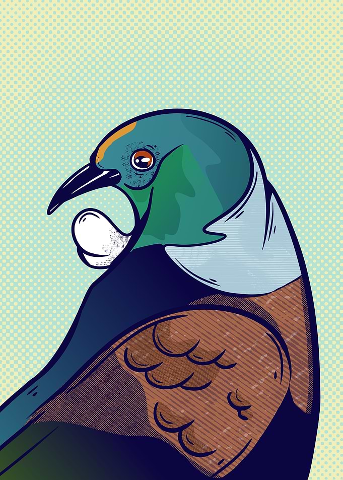 Tui NZ bird