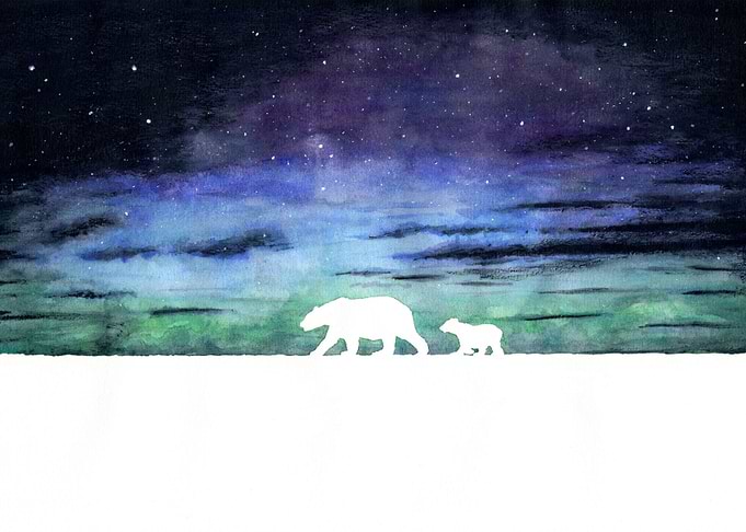 Aurora borealis and bears