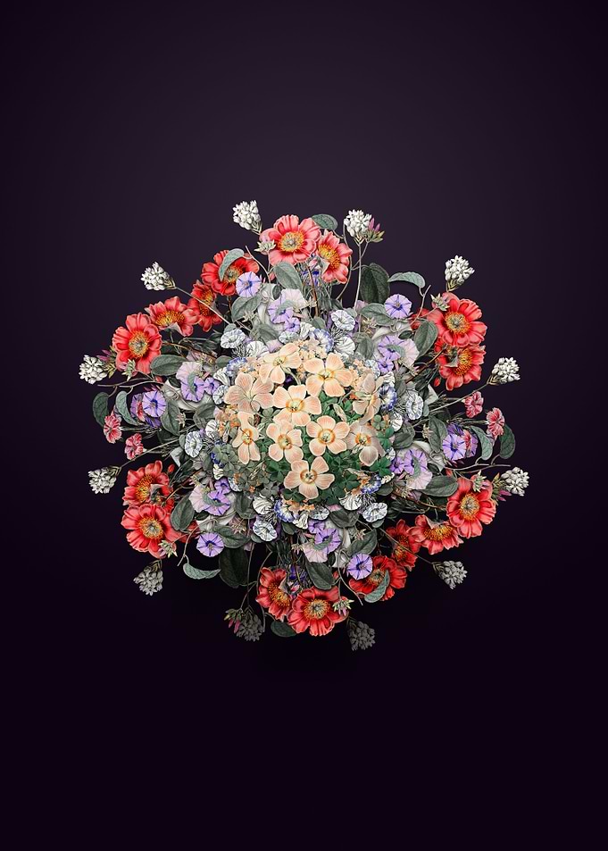 Piottas Oxalis Wreath