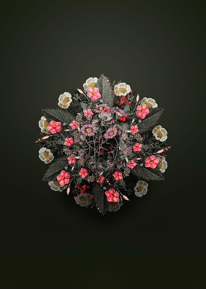 Hoary Diplopappus Wreath