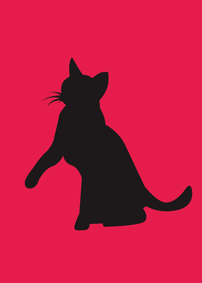 black cat