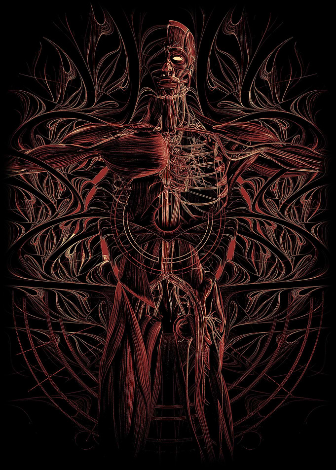 The Body