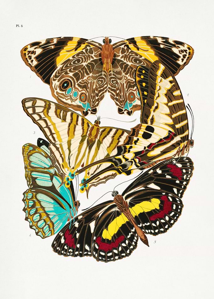 Butterflies 2