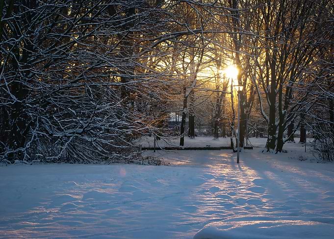 A enchantingly snowcovere